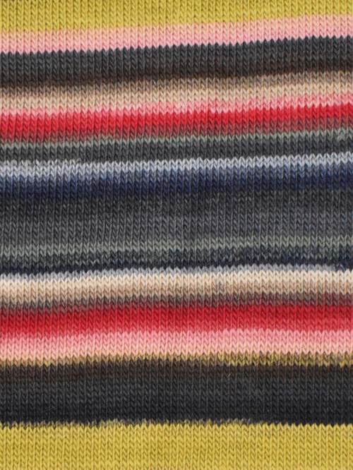 Amitola DK