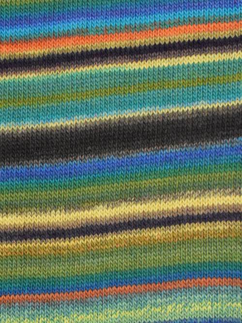 Amitola DK