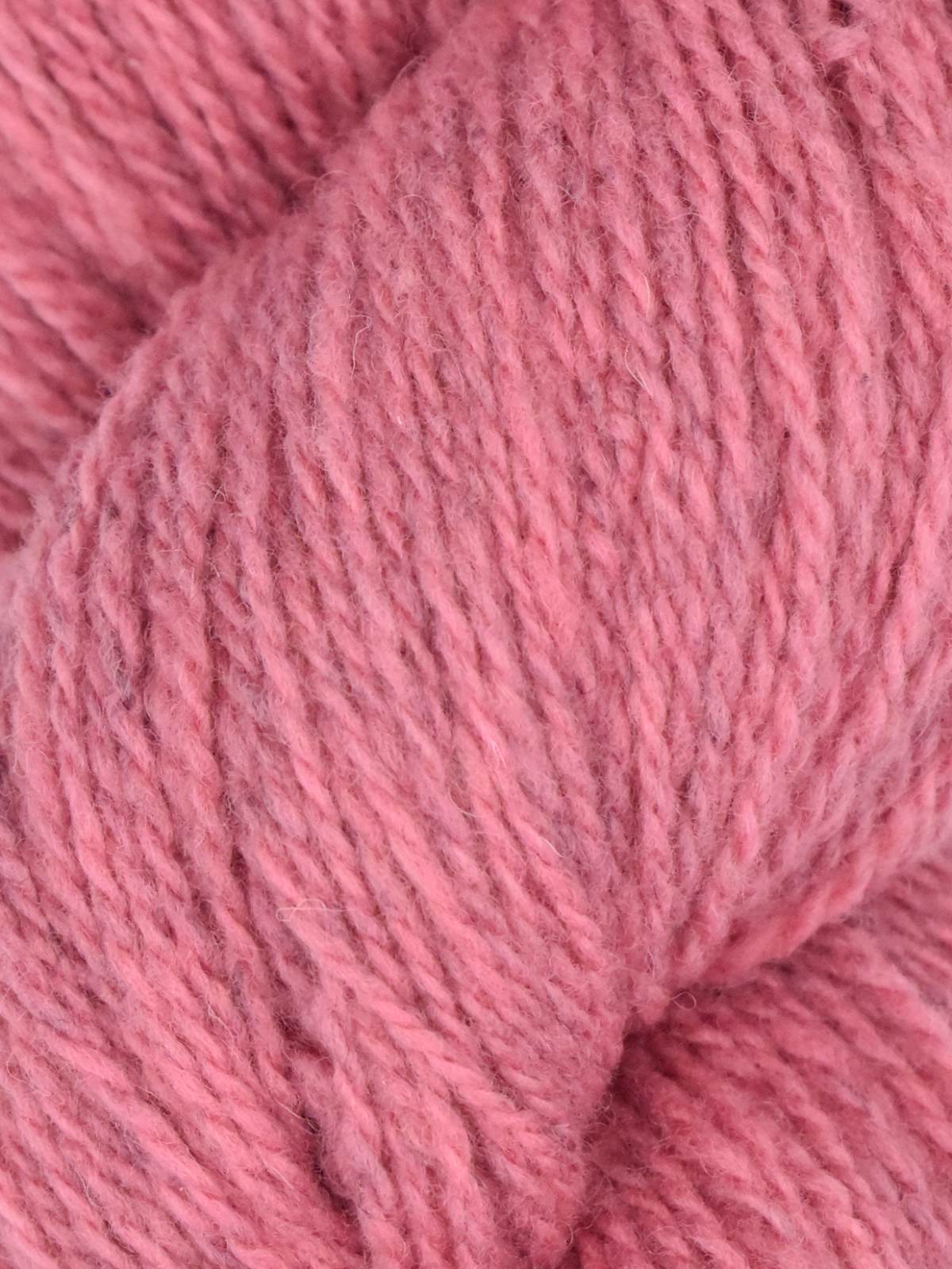 JMF - Patagonia Organic Merino